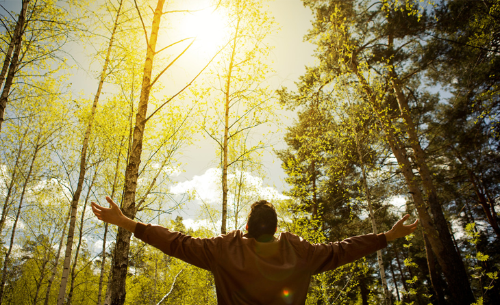 Pulmoner Rehabilitasyon